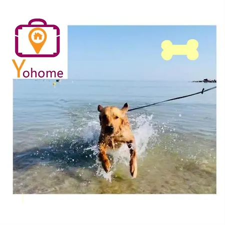 Levante Nel Colorato Porto Di Mare By Yohome Appartement Pesaro